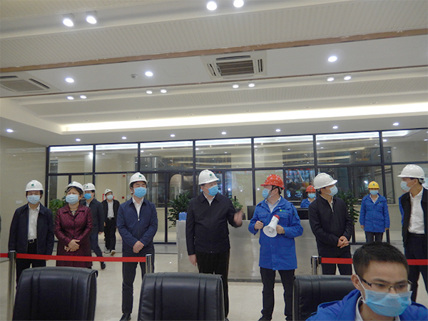 广西壮族自治区人大常委会副主任张秀隆视察征途国际官网博白项目